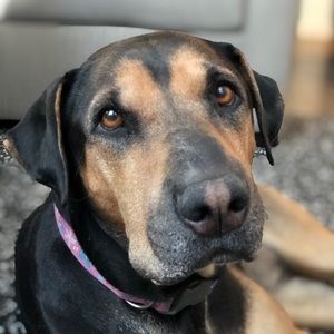 Meet your Posher, Brianna